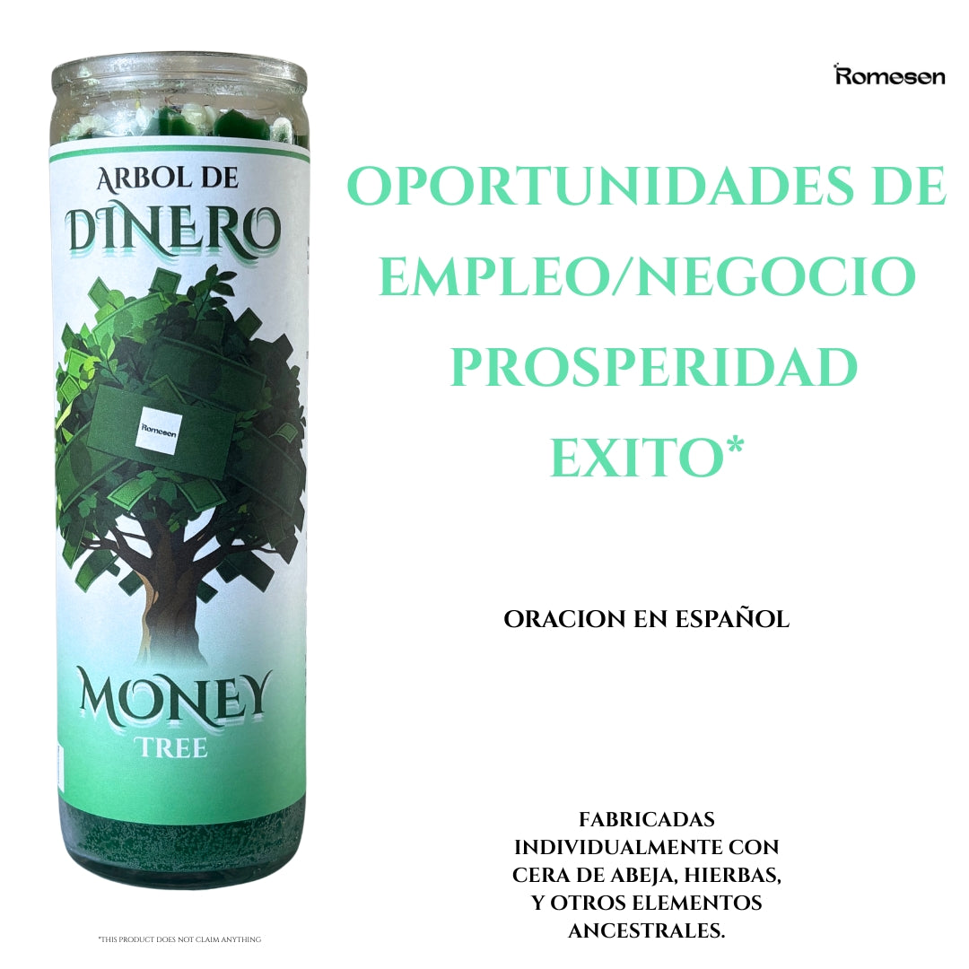 Arbol De Dinero. Money Tree.